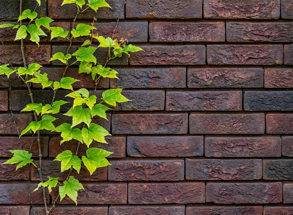 Außenwand eines Gebäudes aus dem Wienerberger ClickBrick-System (Foto)